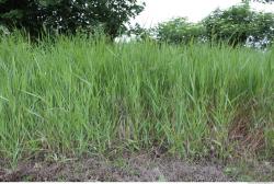 Photo of Various Textures